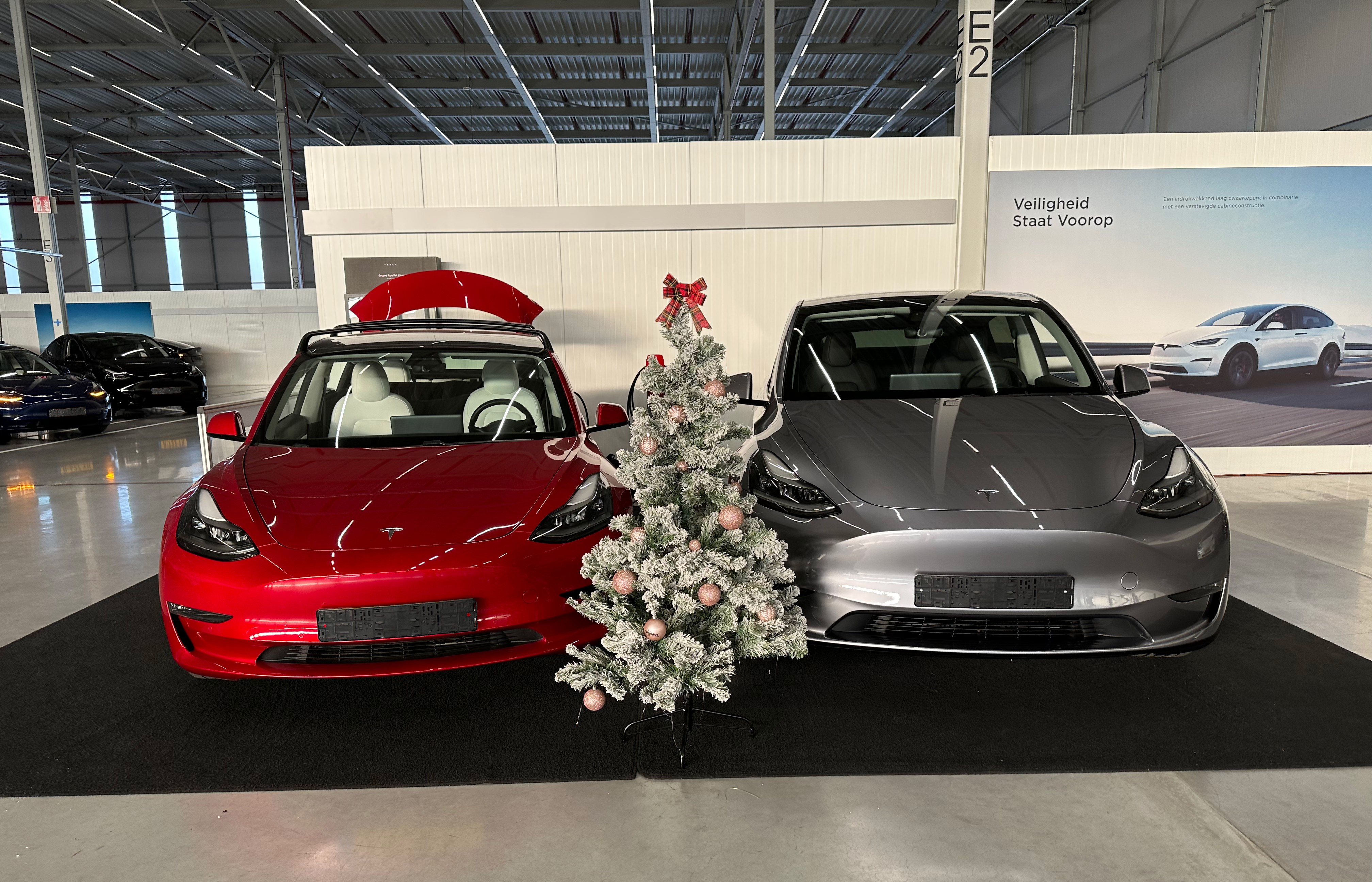 Tesla and Christmas tree